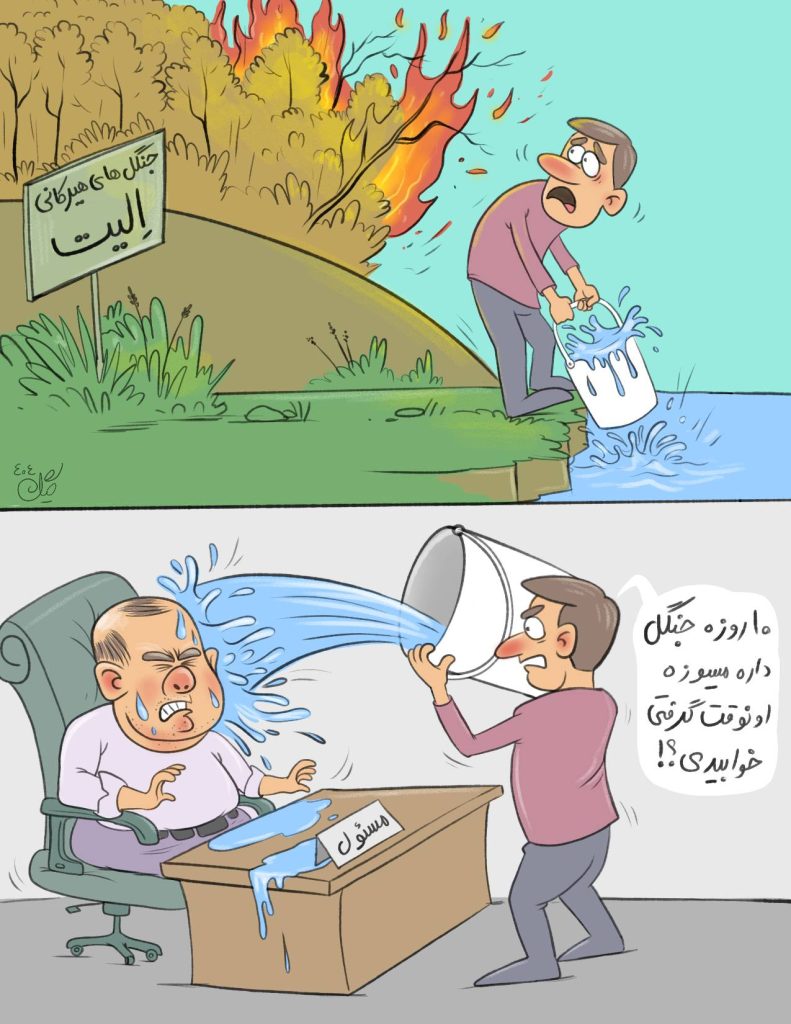 جنگل‌های هیرکانی